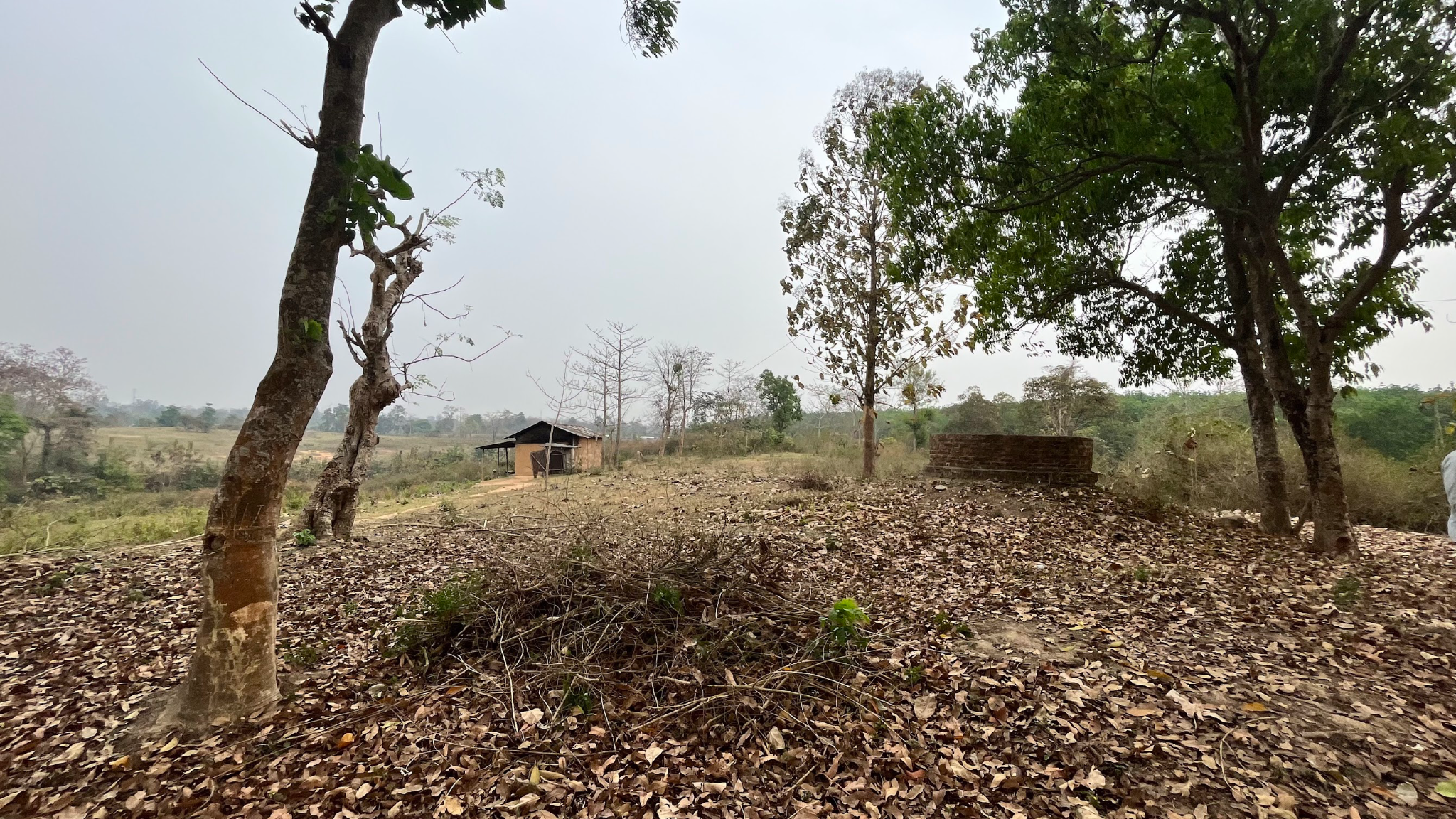 Landscape and community surroundings in Northeast India